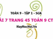 Bài 7 trang 45 Toán 9 tập 1 Chân trời sáng tạo